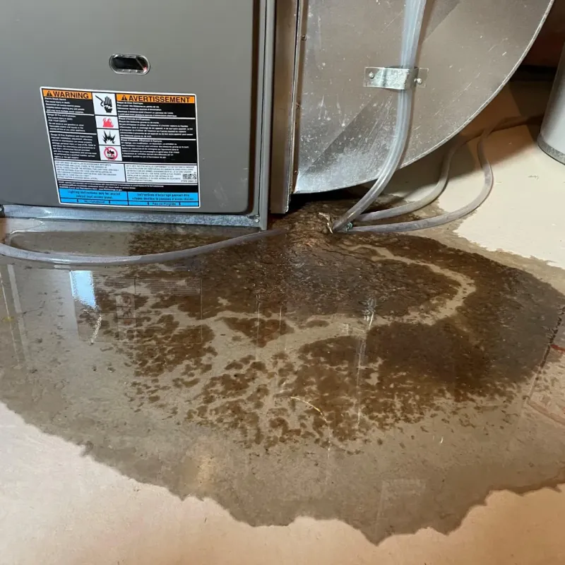 Appliance Leak Cleanup in Dumbarton, VA